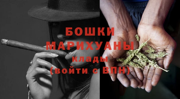 стаф Новозыбков