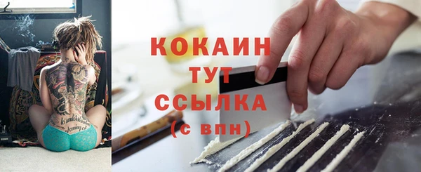шишки Нея
