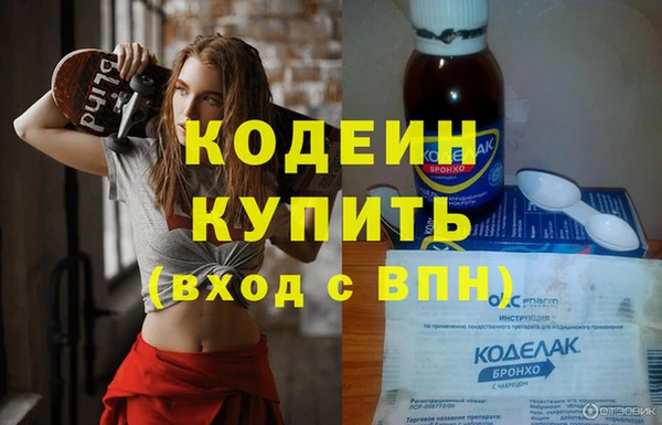 шишки Нея