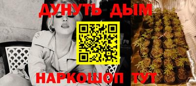 PSILOCYBIN Заводоуковск