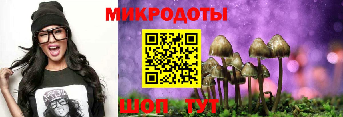 Псилоцибиновые грибы Cubensis Родники